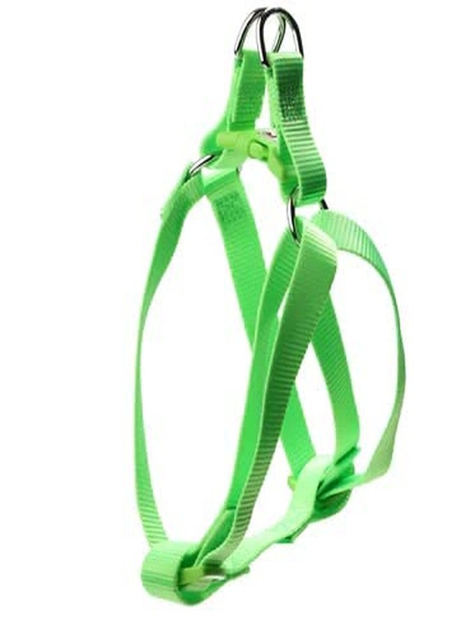 Pups&Pets 15 MM Nylon Leash with Harness 0.5 Inch Adjustable Nylon Harness Set Ideal for Small Breed Dog & Puppies - Parrot Green - Image 3
